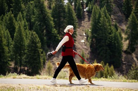 Dog Walking a Danger for Older Adults, Study Shows | Health News | US News