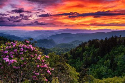 Beginner’s Guide to the North Carolina Mountains - Discover Jackson NC