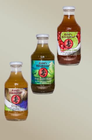 Popular Kombucha Flavors – Anne’s Kombucha