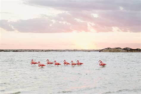 Las Coloradas: How to visit the Pink Lagoon in Mexico – an updated guide for 2022 – THETRAVELBLOG.at