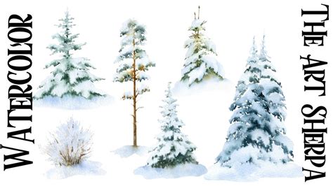 Snowy Pine Trees Study Easy How to Paint Watercolor Step by step | The ...