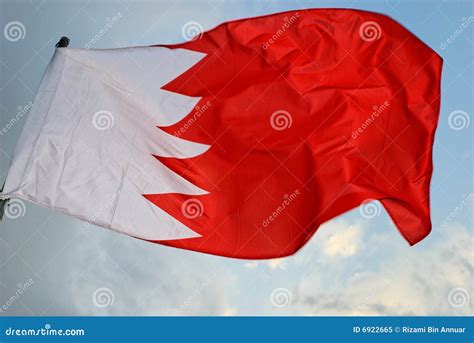 Bahraini Flag Royalty Free Stock Photo - Image: 6922665