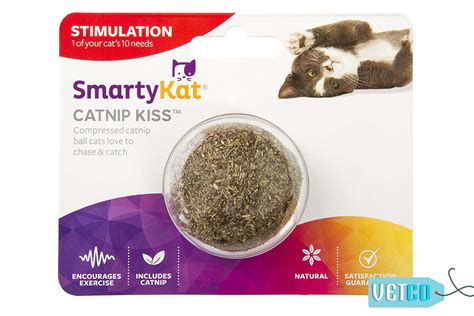 Buy SmartyKat Catnip Kiss Compressed Catnip Ball Cat Toy - Same-Day ...