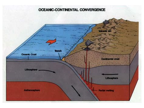 PPT - Theory of Plate Tectonics PowerPoint Presentation, free download - ID:1743735