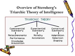 😝 Triarchic theory of intelligence examples. 10 Practical Intelligence ...