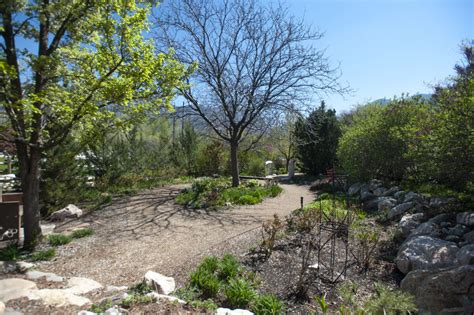 Man celebrating 25 years of tending to Ogden Botanical Gardens roses ...