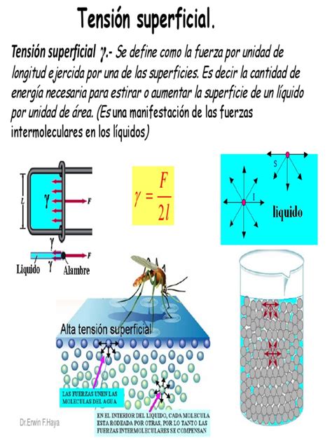 Tension Superficial | PDF | Tensión superficial | Líquidos