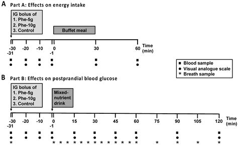 L Phenylalanine Weight Loss Dosage | Blog Dandk