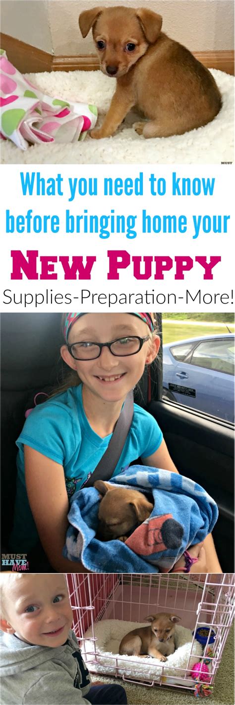 Ultimate Guide To Bringing Home Your New Puppy! - Must Have Mom