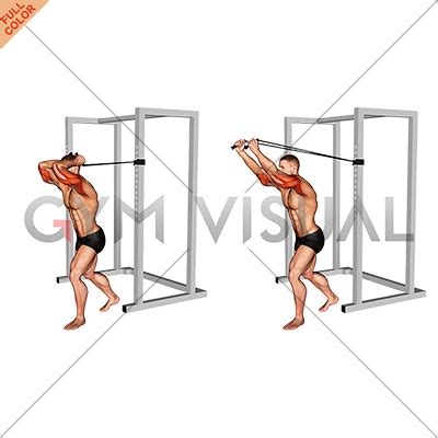 Band overhead triceps extension (VERSION 2) (male)