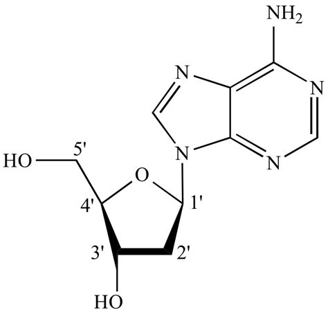 Illustrated Glossary of Organic Chemistry - Nucleoside