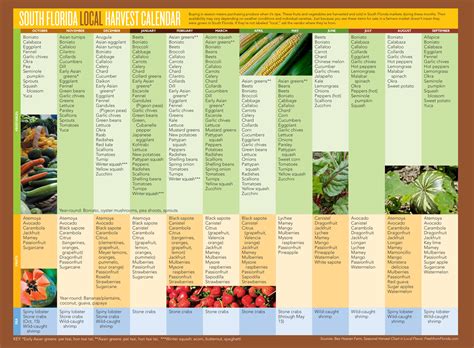 What's In Season? The South Florida Harvest Calendar | Edible South Florida