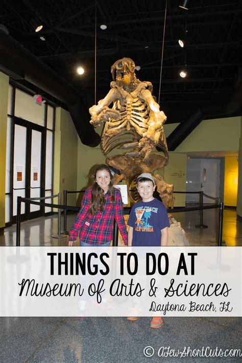 Things to Do at Museum of Arts & Sciences - Daytona Beach, Fl - A Few Shortcuts