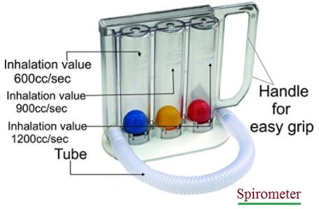 Duft Kreide Start spirometry meter Simulieren Beliebt rein