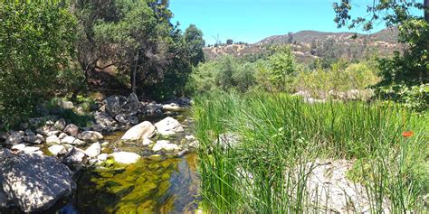 The Way Up Trail : Elfin Forest Recreational Area