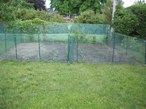 10 Cheap Garden Fencing Ideas, Awesome as well as Lovely | Cheap garden ...