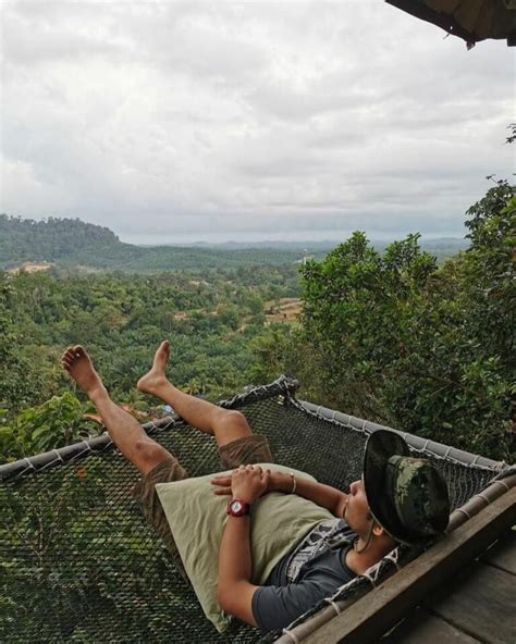 Rainforest Tree House: Hidden Hotel & Cafe In JB