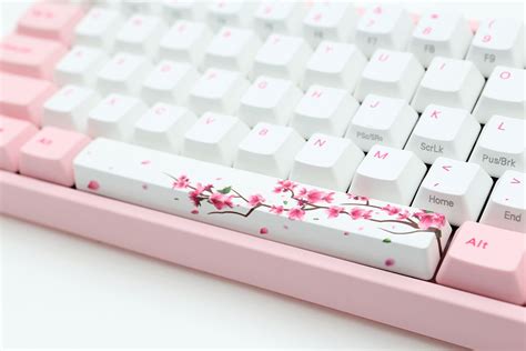 Cherry Blossom Keycaps - Cherry blossom pink metal keycaps ESC Enter ...