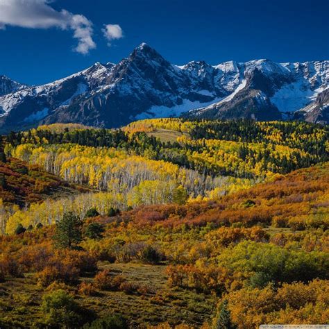 Mountain Aspen Forest Colorado Autumn Landscape Wallpapers - Wallpaper Cave