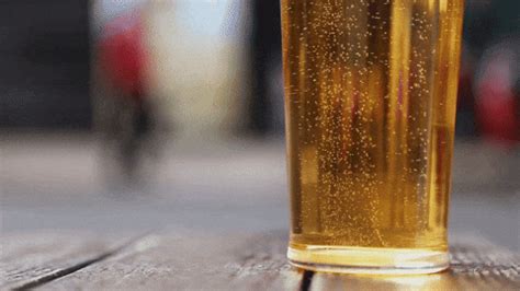 Get Him A Beer GIFs - Get the best GIF on GIPHY