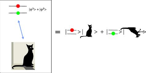 Illustration of the Schrödinger's cat paradox: an atom, a bottle ...