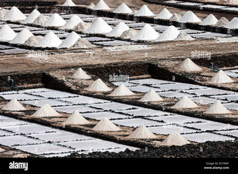 Sea salt production, salt pans, Salinas de Janubio, Lanzarote, Canary Islands, Spain Stock Photo ...