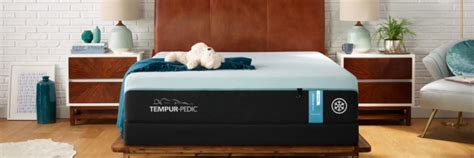 Mattress Battle: Sealy vs. Serta vs. Beautyrest vs.TempurPedic? - Extrabux