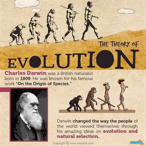 Charles Darwin Theory of Evolution - KaylinkruwMccarthy