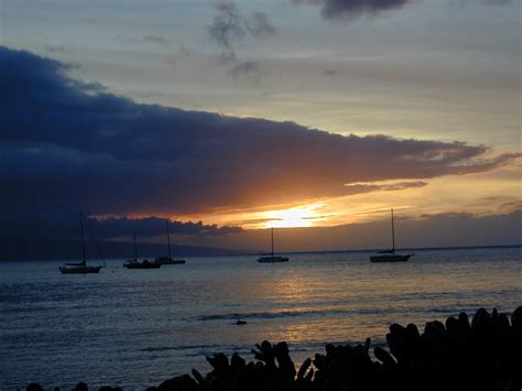 Lahaina Sunset Free Photo Download | FreeImages