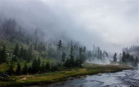 landscape, Nature, Yellowstone National Park, Forest, River, Mist, Mountain, Trees, Grass ...