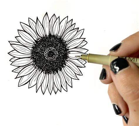 How to Draw Sunflowers - The Happy Ever Crafter