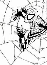 Spider Girl Coloring Pages sketch template