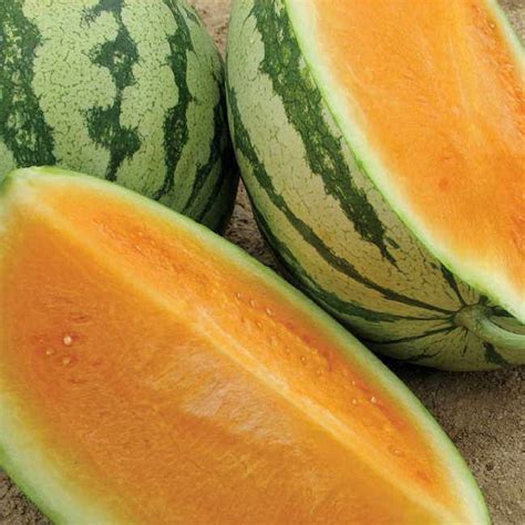 Orange Crisp Seedless Orange Watermelon Seeds | Park Seed