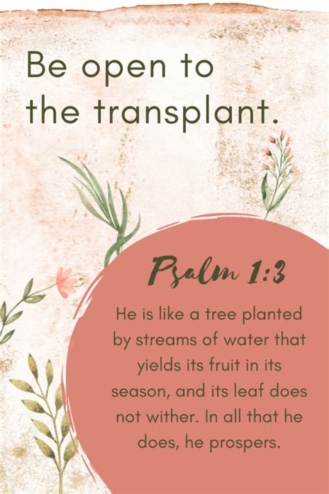 Do You Need a Transplant? {Psalm 1:3} - Do Not Depart