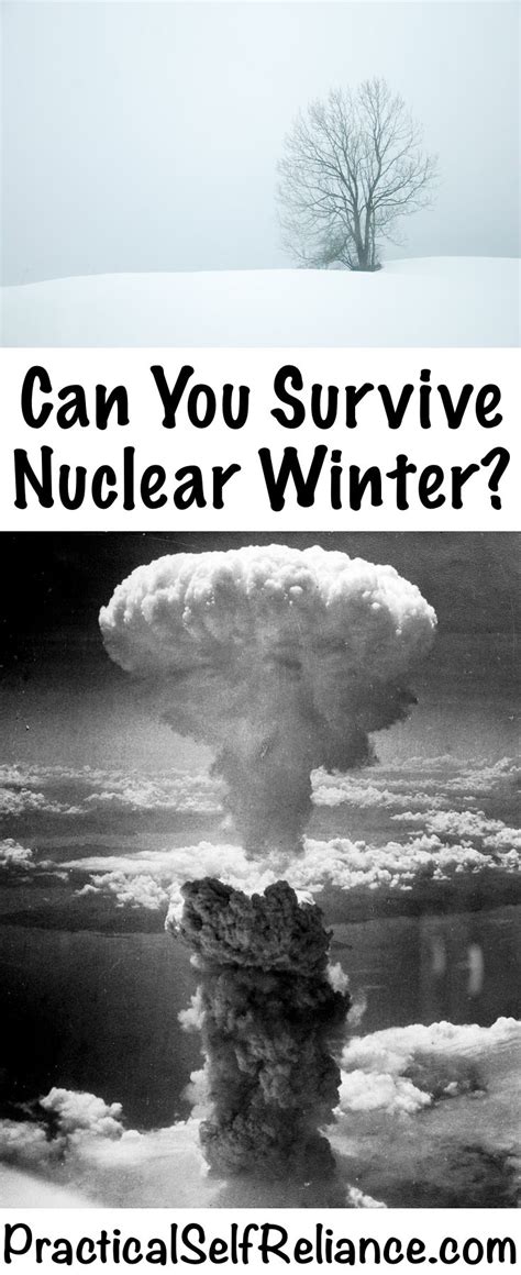 Can You Survive a Nuclear Winter? | Nuclear winter, Survival, Survival ...