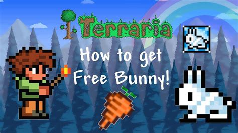 Terraria Pets: Guide and Where to Find Them | GamesCrack.org