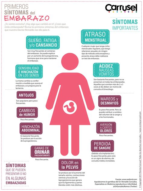 Síntomas del embarazo | Primeros síntomas de embarazo, Síntomas de ...