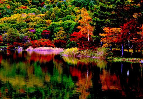 Fall Colors Desktop Wallpaper - WallpaperSafari