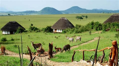 Wildlife Safaris in Kidepo Valley National Park - Kidepo Valley National Park