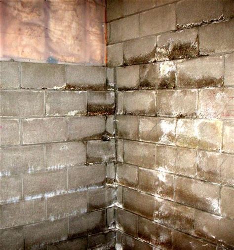 How to fix a wet basement - Pioneer Basement Solutions