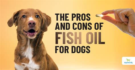 Fish Oil For Dogs - Dogs Naturally