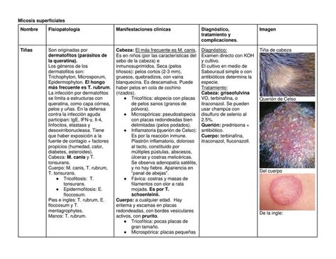 Resúmenes de Micosis profundas | Descarga apuntes de Micosis profundas