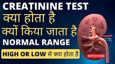 Creatinine level normal range | creatinine test in hindi | creatinine levels high - YouTube