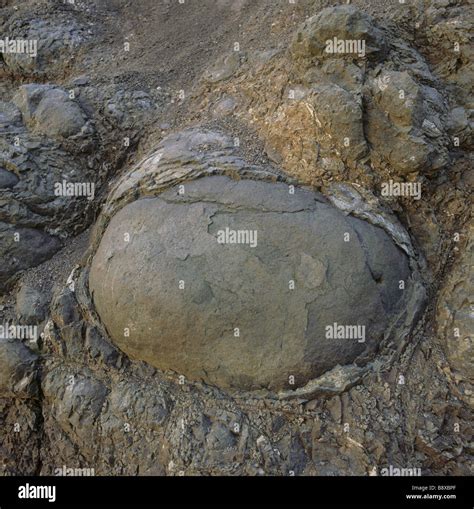 Onion skin weathering on rocks at Giant s Causeway Stock Photo - Alamy