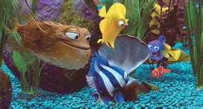 Find Nemo and the Tank Gang at the Melbourne Aquarium | Girl.com.au