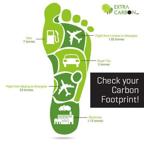 25 Reduce Your Carbon Footprint! ideas | carbon footprint, carbon, footprint