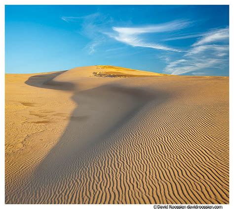 17 Best images about We ️ Silver Lake Sand Dunes on Pinterest | West coast, Places and State parks