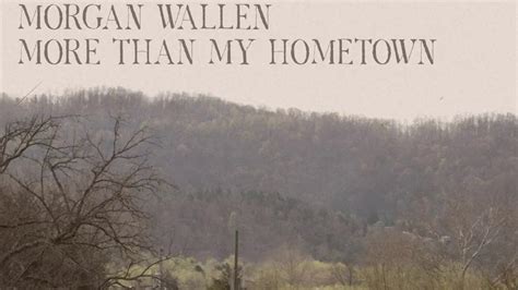 Morgan Wallen - More Than My Hometown (Cover by Zachary Chad Hutchinson ...