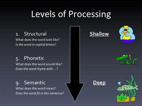 Unit1 revision