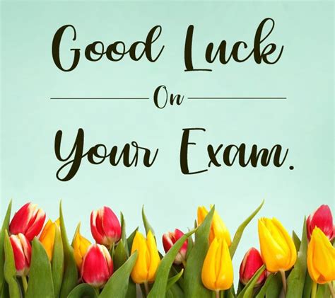 80+ Exams Best Wishes, Good Luck And Wishes